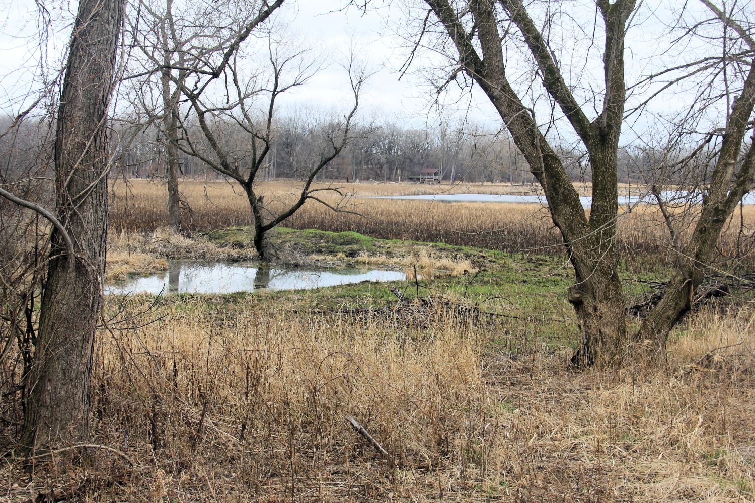 McHenry Dam State Park 